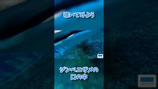 覗けます！ジンベエザメの口の中