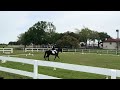 USDF Intro Test B / 1st Place