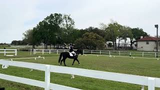 USDF Intro Test B / 1st Place