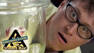 Science Max | Science Expirements | Vacuums