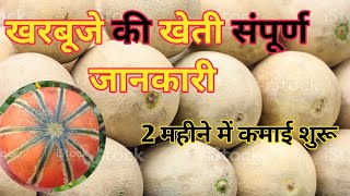 खरबूजे की खेती की संपूर्ण जानकारी || वैज्ञानिक खेती करके तरीके से खरबूजे का उत्पादन कैसे बढ़ाए |