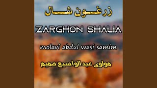 Zarghon Shaal Da Abadi زرغون شال د آبادی به پري را خپور کړم