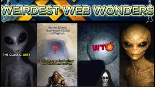 weirdest web wonders vol 87
