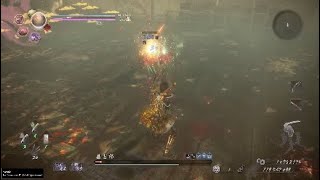 仁王2 槍始めました 悟りの夢路 藤吉郎 人間 nioh2