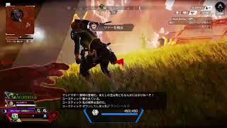 自由気ままに下手だけど『APEX』