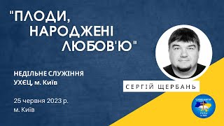 «ПЛОДИ, НАРОДЖЕНІ ЛЮБОВ'Ю», С. Щербань, м.Київ 25.06.2023