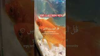 সূরা-১১৪ঃ আন-নাস। Surah-114: An-Nas #quran #shorts