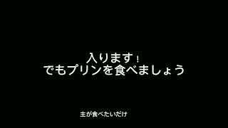 200人突破記念の質問コーナー