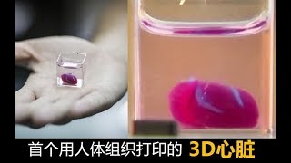 首个用人体组织打印的3D心脏