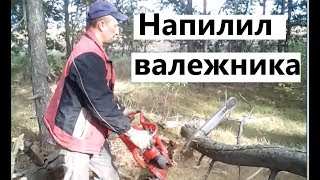 Поехал за валежником в лес, напилил и привез