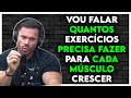 QUANTOS EXERCÍCIOS PRECISA FAZER PARA O MÚSCULO CRESCER? GANHAR MASSA MUSCULAR | Renato Cariani