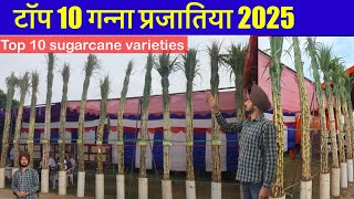 टॉप 10 गन्ना प्रजातिया 2025 | Top 10 sugarcane varieties 2025