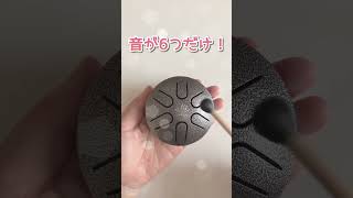 🐚実はこの楽器🐚 #ミニタングドラム