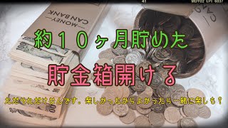 【ゆる動画】今日は貯金箱開ける日です。いざッッッ！！！