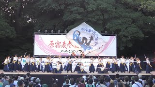 【4K】北里大学よさこいチーム北里三陸湧昇龍｜ 踊朧（原宿表参道元氣祭スーパーよさこい2023 原宿口ステージ）