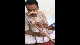 آموزش توله  درس اول / آموزش ابتدایی توله توسط استاد ذلی پکتا/Flute Learning first lesson