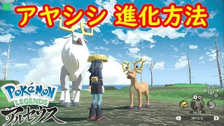 【オドシシ → アヤシシ】進化方法 攻略  【Pokémon LEGENDS アルセウス ポケモン レジェンズ アルセウス】