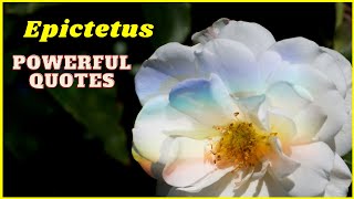Epictetus quotes | Stoic quotes | wealthynaire