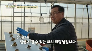 [아쿠아포닉스 농장으로 연 매출 3억 5천만 원!!] 무임금으로 일을 시킬 수 있는 회장님??