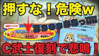 Cブシニャン復刻ガシャは回すべき？ちょっと待って、そこのあなた！ばよよん内心「あぁぁぁぁぁああああっ！！！！！」【妖怪ウォッチぷにぷに】