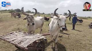 Highlights of mora vara vachra bhai ni jatar gadanu res ni tyari