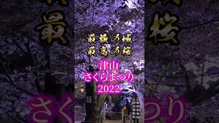 【岡山県津山市】-最強の城、最高のさくら- 津山さくらまつり２０２２開催中！「津山城（鶴山公園）」#shorts #夜桜 #花見