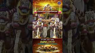 Sri Padmavathi Ammavari Varshika Brahmotsavalu - || Rathotsavam  - November 27th @7 am