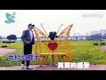 【 鯊魚ktv】 11 像風一樣自由 國語練唱