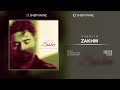 shervin zakhm unplugged audio