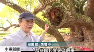 20120404-公視中晝新聞-環團：保護既有樹種 種樹不如護樹.mpg