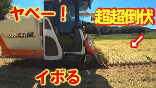 【特集】農業トラブル　超倒伏田の刈り方で、スピードが大事・・・【農機具】