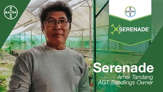 Serenade on Vegetables | AGT Seedlings Supply (Arnel Tandang)