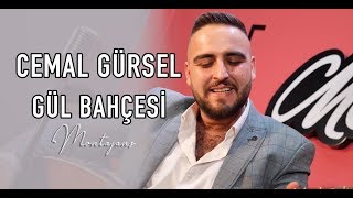 Cemal Gürsel - Gül Bahçesi (Akustik Performans)