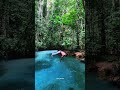 Wow Keren ‼️|| Salto Belakang Langsung Terjun di Kali