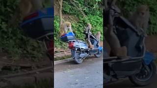Scooter गिरा देलई...😂🤣#ytshorts #shortvideo