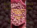 Export onion bussnes Badshah trading company #red onion #dubai #export #malesiya #malesiya #dubai