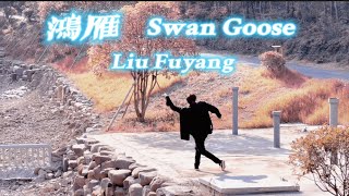 LiuFuYang | Aerial View: Mongolian Dance “Swan Goose” | 刘福洋 蒙古舞《鸿雁》抖音日常舞蹈作品 ｜Chinese TikTok