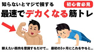 【雑学】最速でデカくなる筋トレの雑学