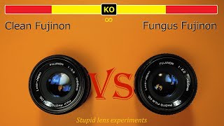 How much does Fungus and Haze affect image quality? (S.L.E.)