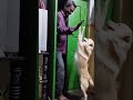 அடேங்கப்பா இது உலக நடிப்பு டா சாமி dog comedy cat