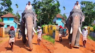 അഴകിന്റെ തമ്പുരാന്റെ വരവ് കണ്ടില്ലേ 🤩🥰 | Pambadi Rajan Entry | Pambadi Rajan Latest | Appuzz