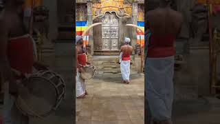 ශ්‍රි දාළදා තේවා හේවිසි | sri dalada thewa hewisi hada | Sri Lanka Kandy Traditional Drumming Shorts