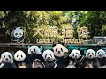 #16 Exploring the Giant Panda House at Beijing Zoo in China