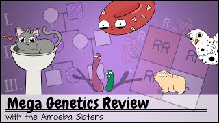 Mega Genetics Review