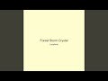 Forest Storm Crystal