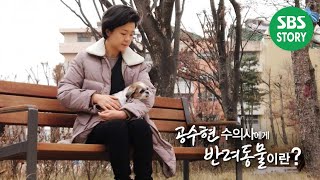 새로운 삶의 시작을 돕는~ 공수현 수의사에게 ‘반려동물’이란? I TV동물농장 (Animal Farm) | SBS Story