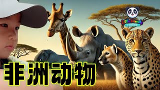 【小伙伴游乐园25】北野的非洲动物探秘 | Little Friends Playland Ep 25: African Safari at Beijing Wildlife Park