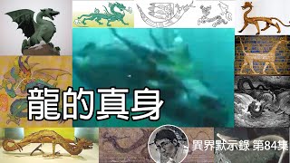 龍的真身 [異界默示錄 第84集]