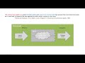 What is an autonomous agent? - Complex Systems Simulation and Artificial Life