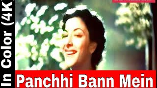 Panchhi Bann Mein In Color (4K) | Babul Songs, Dilip Kumar, Nargis, Lata Mangeshkar, Filmigaane